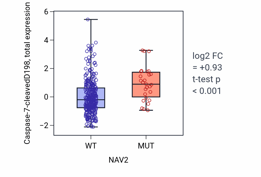 Box plot of Caspase-7-cleavedD198 in NAV2-low vs NAV2-high samples in COAD.
