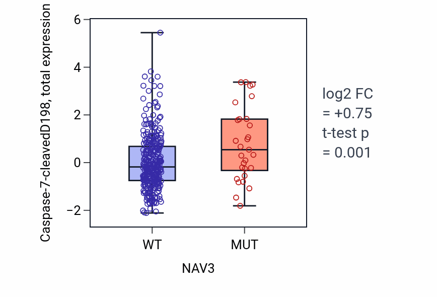 Box plot of Caspase-7-cleavedD198 in NAV3-low vs NAV3-high samples in COAD.