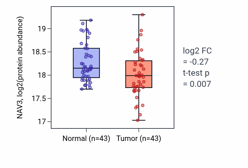 Tumor-vs-normal mass-spec protein box plot for NAV3 in LSCC.