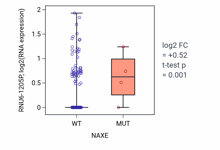 Box plot of RNU6-1205P in NAXE-low vs NAXE-high samples in COAD.