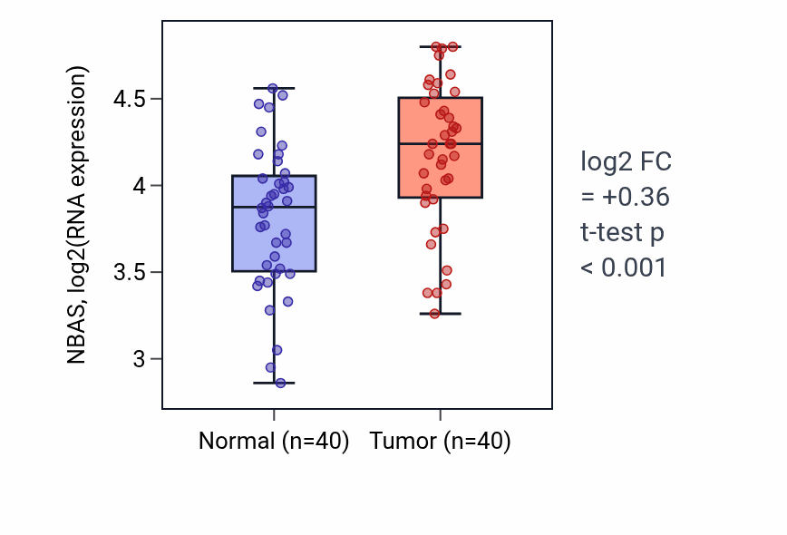 Tumor-vs-normal expression box plot for NBAS RNA in HNSC.