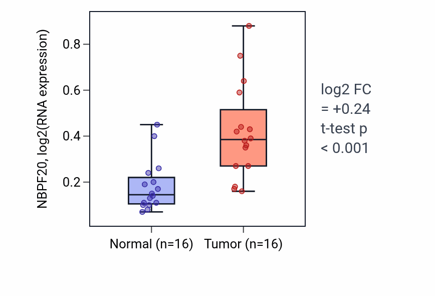 Tumor-vs-normal expression box plot for NBPF20 RNA in HNSC.