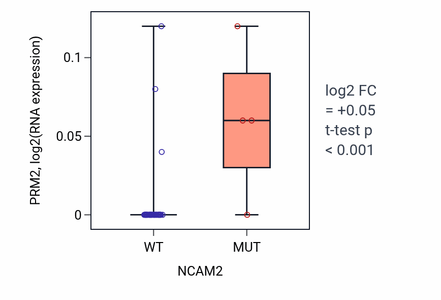 Box plot of PRM2 in NCAM2-low vs NCAM2-high samples in UPPER_AERODIGESTIVE_TRACT.