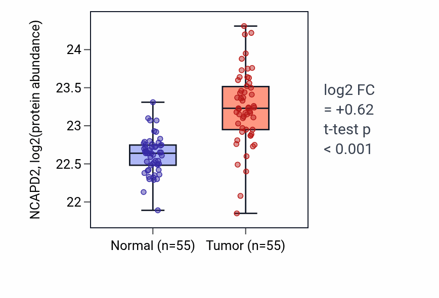 Tumor-vs-normal mass-spec protein box plot for NCAPD2 in COAD.