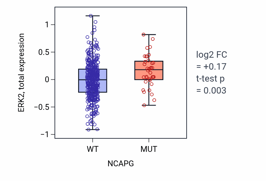 Box plot of ERK2 in NCAPG-low vs NCAPG-high samples in UCEC.