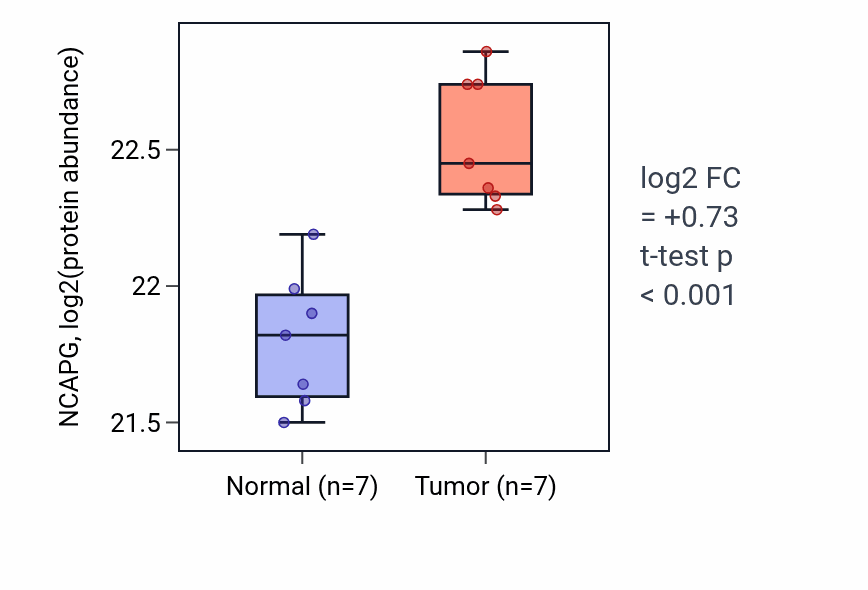 Tumor-vs-normal mass-spec protein box plot for NCAPG in COAD.