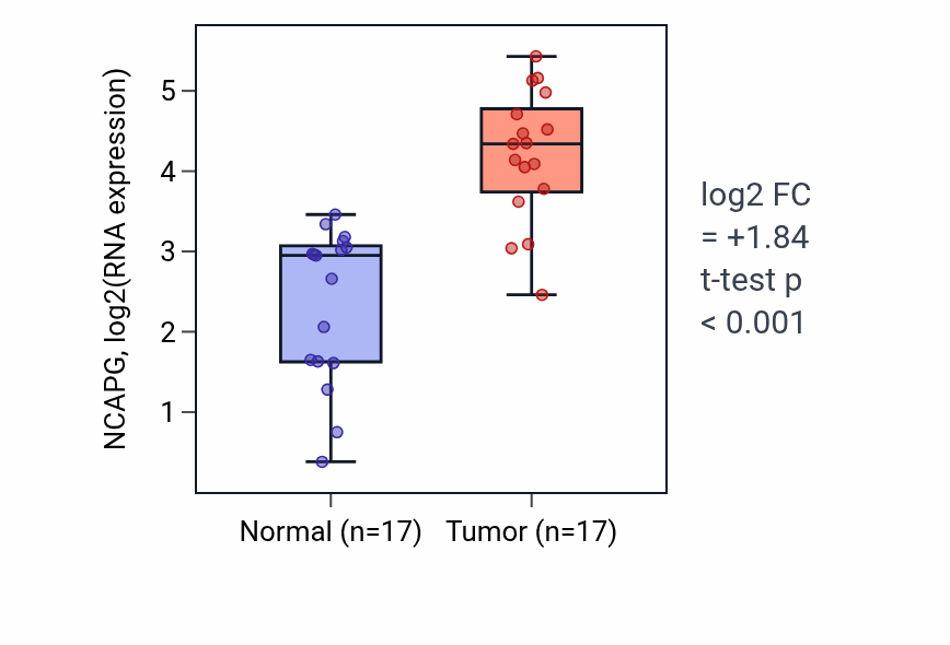 Tumor-vs-normal expression box plot for NCAPG RNA in HNSC.