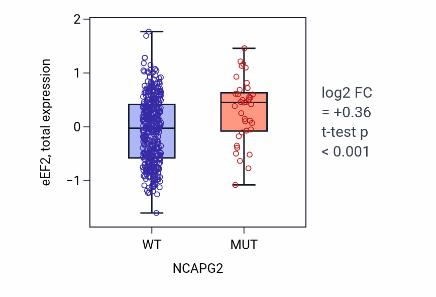 Box plot of eEF2 in NCAPG2-low vs NCAPG2-high samples in UCEC.