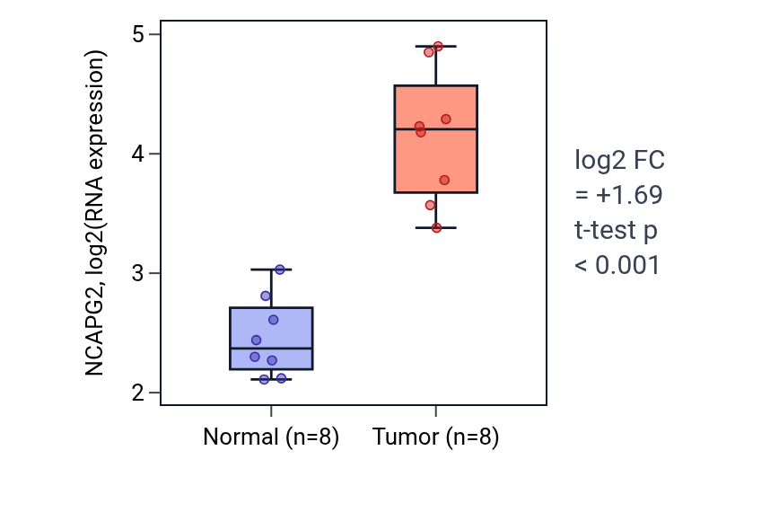 Tumor-vs-normal expression box plot for NCAPG2 in BLCA.