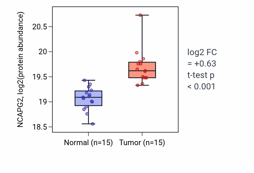 Tumor-vs-normal mass-spec protein box plot for NCAPG2 in CCRCC.