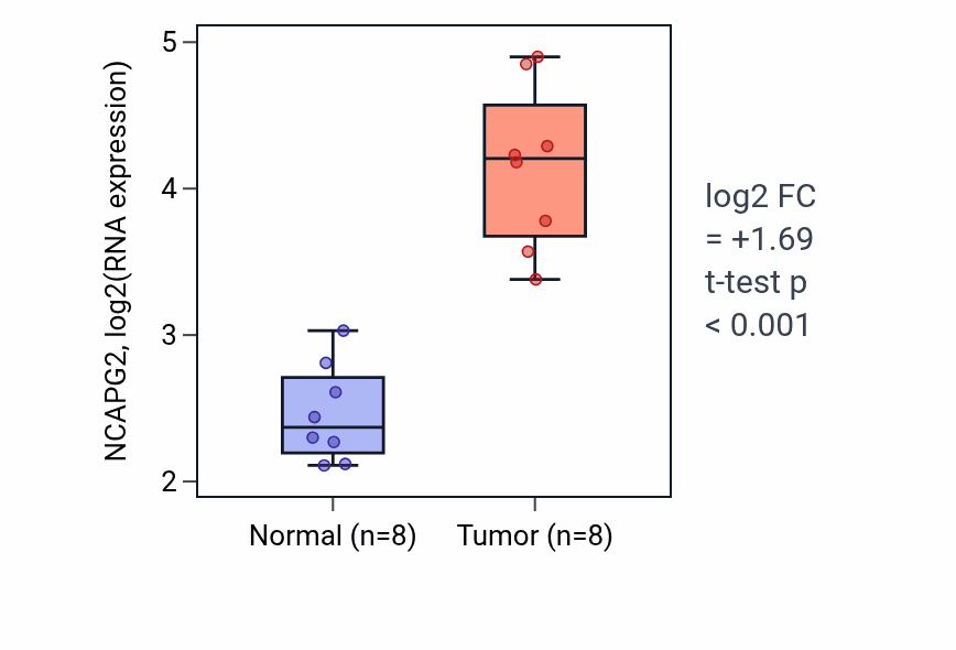 Tumor-vs-normal expression box plot for NCAPG2 RNA in BLCA.
