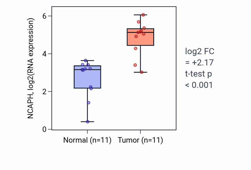 Tumor-vs-normal expression box plot for NCAPH RNA in HNSC.