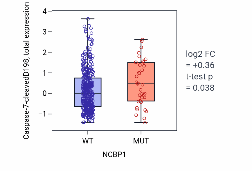 Box plot of Caspase-7-cleavedD198 in NCBP1-low vs NCBP1-high samples in UCEC.
