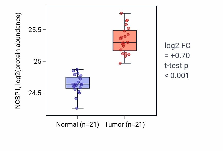 Tumor-vs-normal mass-spec protein box plot for NCBP1 in HNSC.