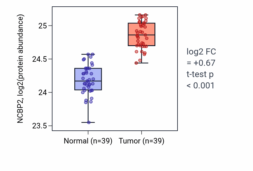 Tumor-vs-normal mass-spec protein box plot for NCBP2 in HNSC.