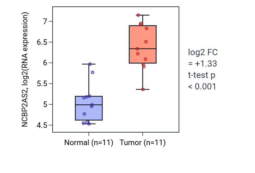 Tumor-vs-normal expression box plot for NCBP2AS2 in HNSC.