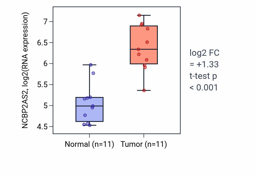 Tumor-vs-normal expression box plot for NCBP2AS2 RNA in HNSC.