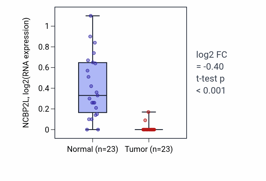Tumor-vs-normal expression box plot for NCBP2L RNA in LUSC.