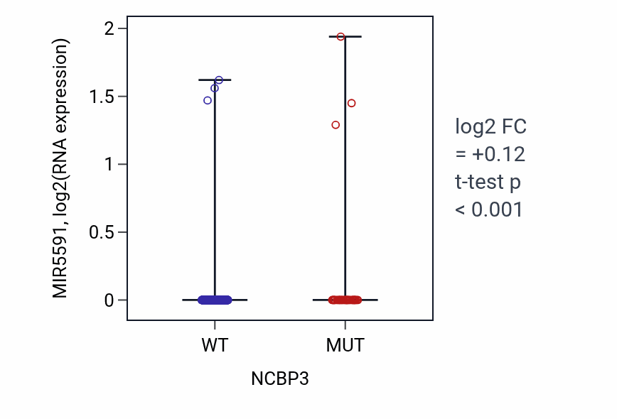 Box plot of MIR5591 in NCBP3-low vs NCBP3-high samples in UCEC.