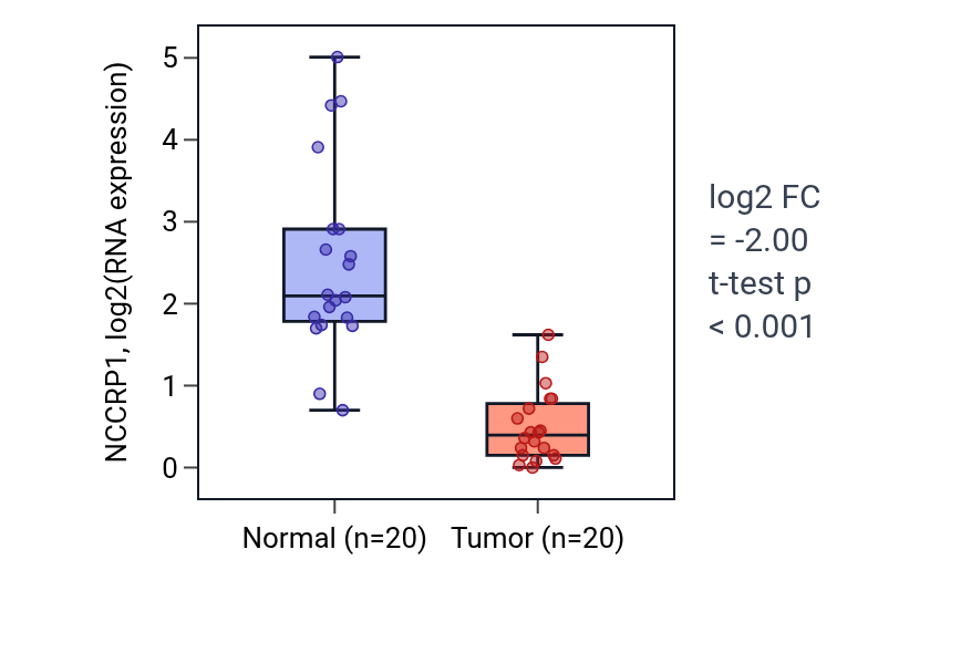 Tumor-vs-normal expression box plot for NCCRP1 in KIRC.