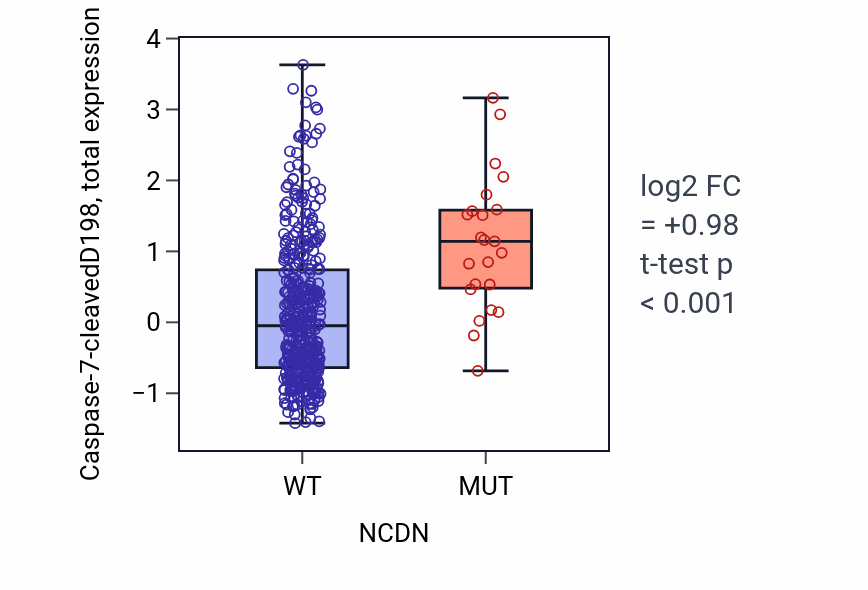 Box plot of Caspase-7-cleavedD198 in NCDN-low vs NCDN-high samples in UCEC.