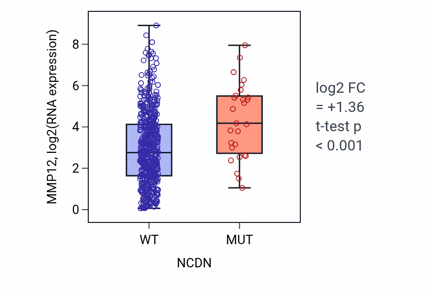 Box plot of MMP12 in NCDN-low vs NCDN-high samples in UCEC.