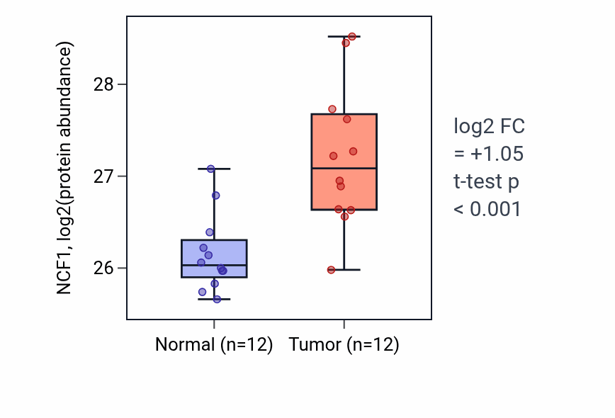 Tumor-vs-normal mass-spec protein box plot for NCF1 in CCRCC.
