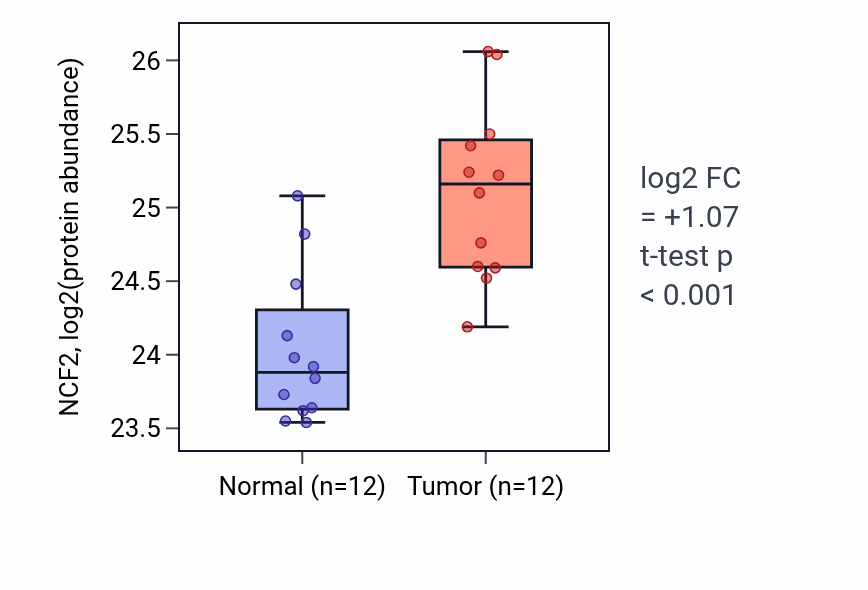 Tumor-vs-normal mass-spec protein box plot for NCF2 in CCRCC.