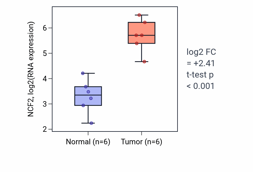 Tumor-vs-normal expression box plot for NCF2 RNA in HNSC.