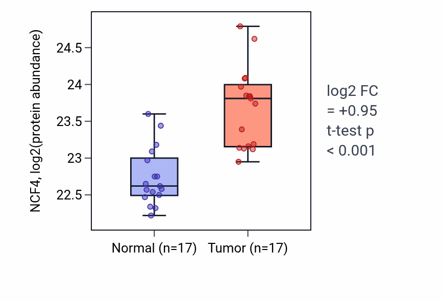 Tumor-vs-normal mass-spec protein box plot for NCF4 in CCRCC.