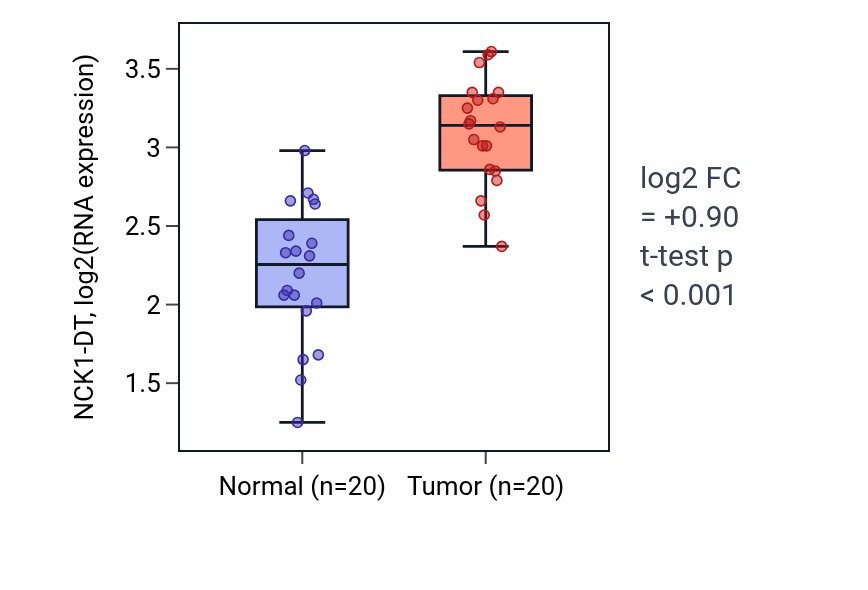 Tumor-vs-normal expression box plot for NCK1-DT in KIRC.