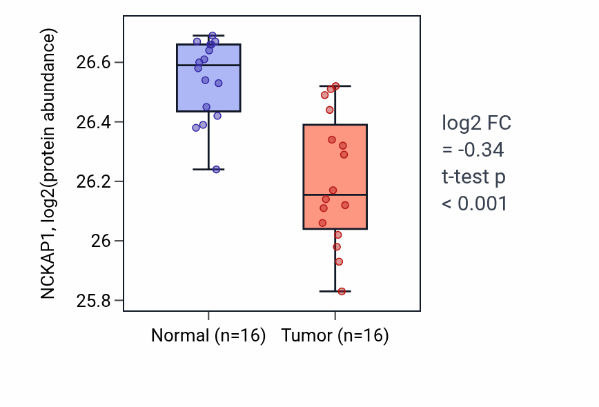 Tumor-vs-normal mass-spec protein box plot for NCKAP1 in LUAD.