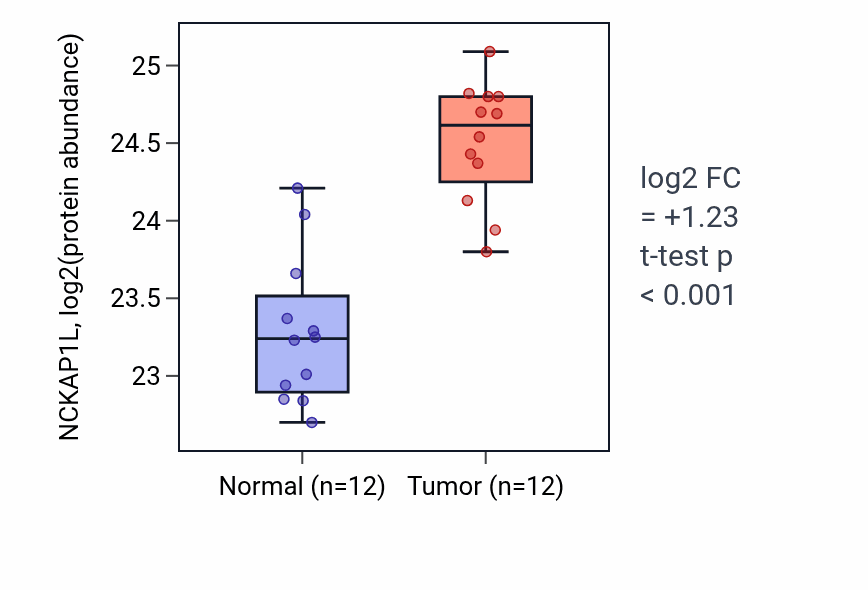 Tumor-vs-normal mass-spec protein box plot for NCKAP1L in CCRCC.