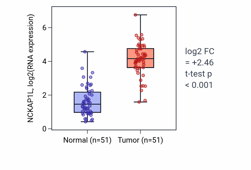 Tumor-vs-normal expression box plot for NCKAP1L RNA in KIRC.