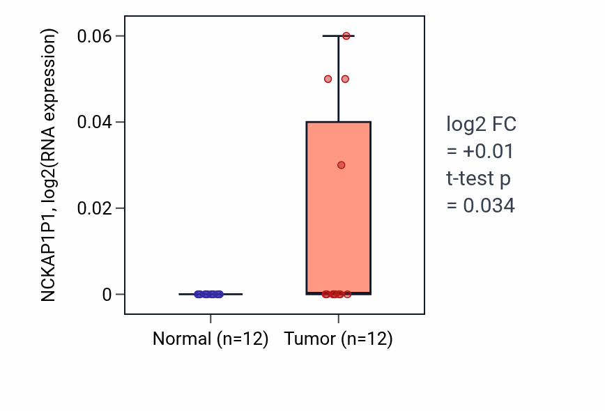 Tumor-vs-normal expression box plot for NCKAP1P1 in KIRC.