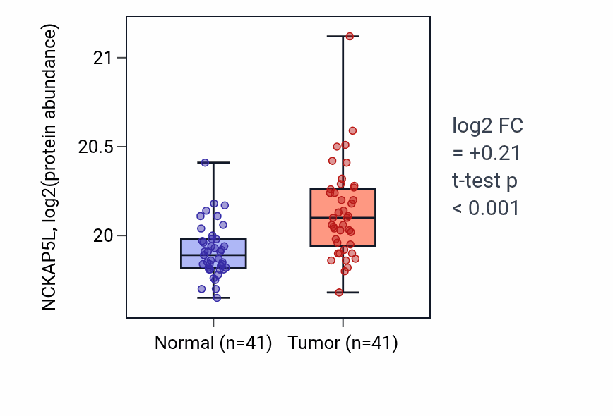 Tumor-vs-normal mass-spec protein box plot for NCKAP5L in CCRCC.