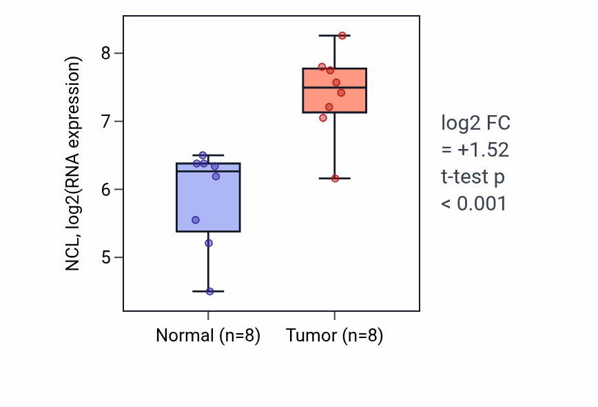 Tumor-vs-normal expression box plot for NCL RNA in STAD.