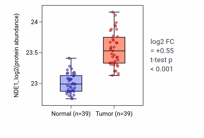 Tumor-vs-normal mass-spec protein box plot for NDE1 in HNSC.