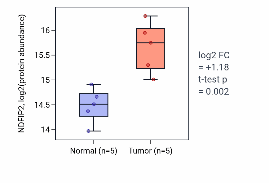 Tumor-vs-normal mass-spec protein box plot for NDFIP2 in LSCC.