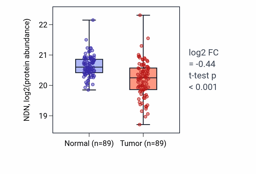 Tumor-vs-normal mass-spec protein box plot for NDN in LSCC.