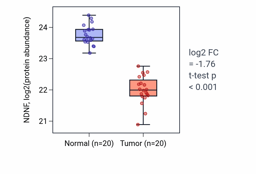 Tumor-vs-normal mass-spec protein box plot for NDNF in LSCC.