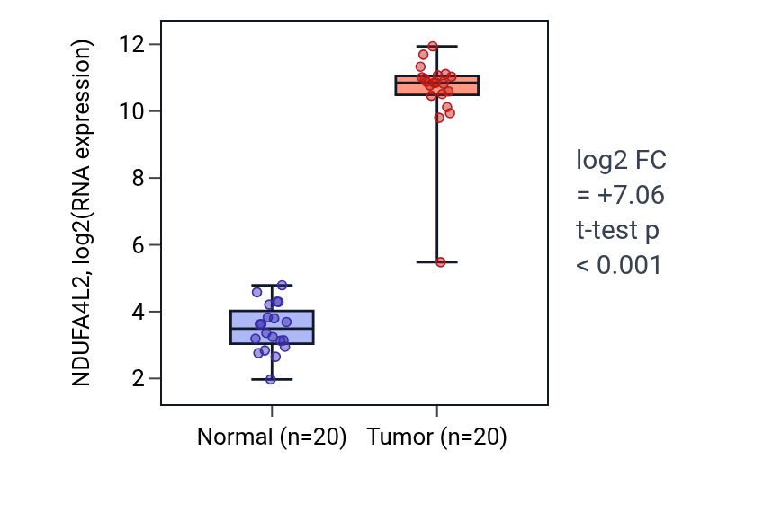 Tumor-vs-normal expression box plot for NDUFA4L2 in KIRC.