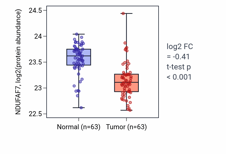 Tumor-vs-normal mass-spec protein box plot for NDUFAF7 in CCRCC.