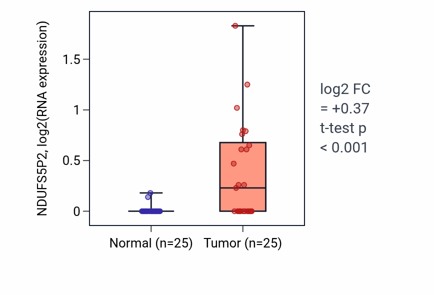 Tumor-vs-normal expression box plot for NDUFS5P2 in HNSC.