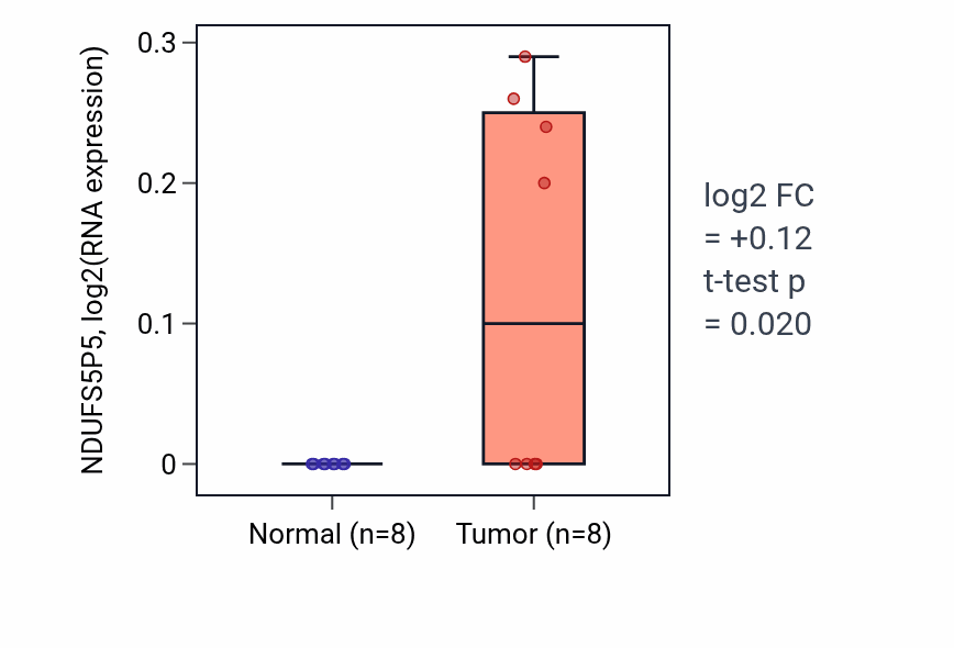 Tumor-vs-normal expression box plot for NDUFS5P5 in BLCA.