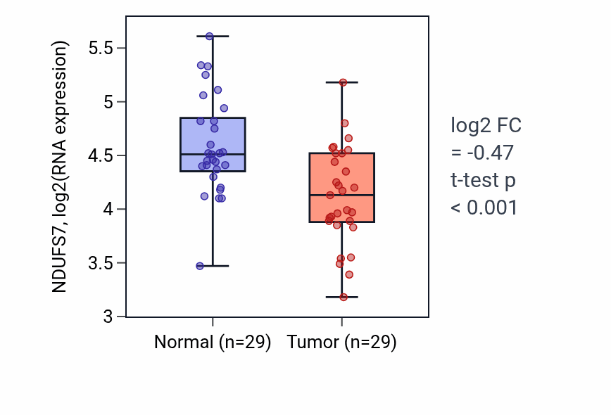 Tumor-vs-normal expression box plot for NDUFS7 RNA in HNSC.