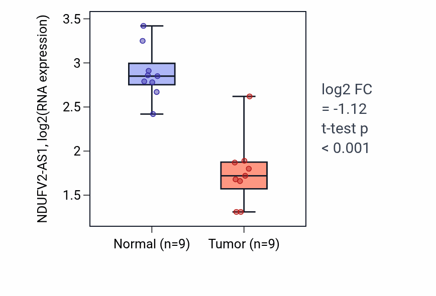 Tumor-vs-normal expression box plot for NDUFV2-AS1 in THCA.