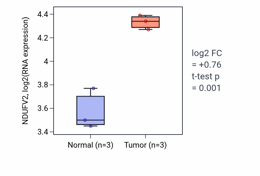 Tumor-vs-normal expression box plot for NDUFV2 RNA in BLCA.