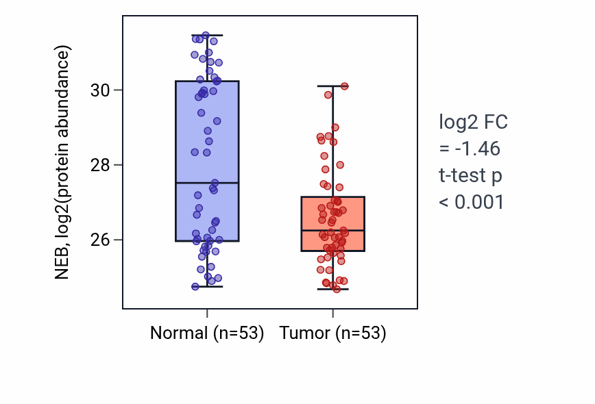 Tumor-vs-normal mass-spec protein box plot for NEB in HNSC.
