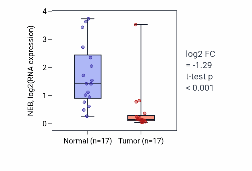 Tumor-vs-normal expression box plot for NEB RNA in THCA.